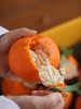 晓橘甘平橘柑 升级款的耙耙柑 柑橘中的爱马仕 商品缩略图12
