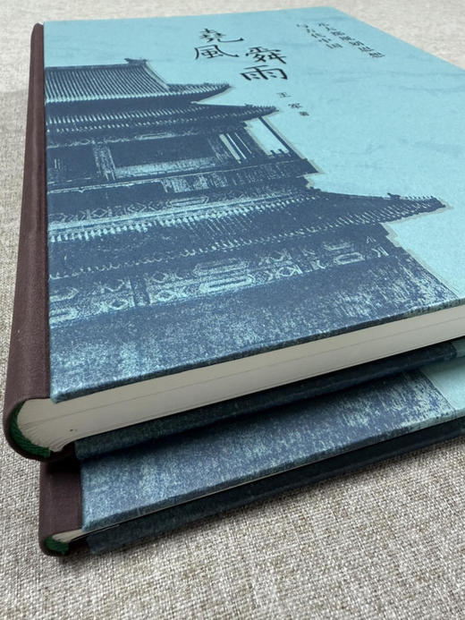 尧风舜雨 : 元大都规划思想与古代中国 王军著 商品图3