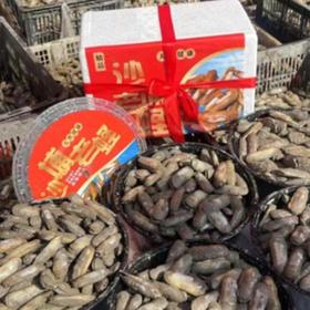  福清贝鲜生干原老蛏5斤/盒