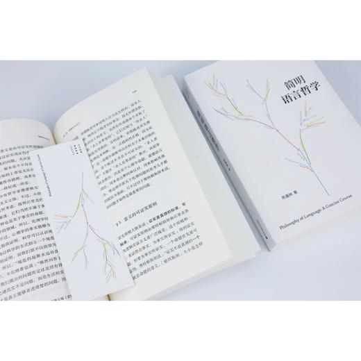 简明语言哲学 （陈嘉映老师写给一般读者的语言哲学入门书）铸刻文化 广西师范大学出版社 商品图4