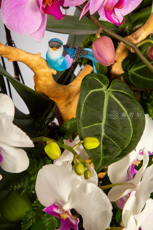 马（码）力十足 商品图2