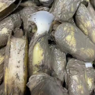 沙埔老蛏（吐好沙）带盒约5斤装 商品图2