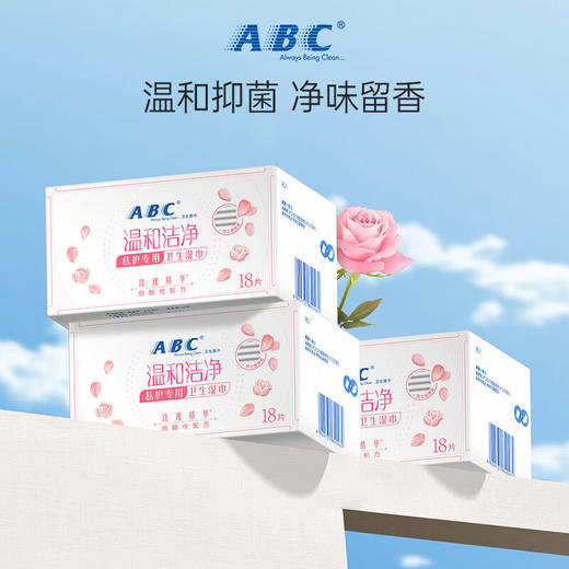 ABC湿巾女性私处洁阴180*160mm*18片湿厕纸巾房事后清洁护理抑菌 商品图1