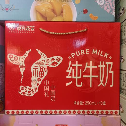 现代牧业纯牛奶250ml*10 商品图0