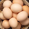 开阳南江鲜土鸡蛋  30枚/板 【GY】 商品缩略图2