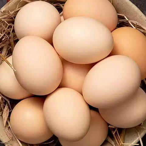 开阳南江鲜土鸡蛋  30枚/板 【GY】 商品图2