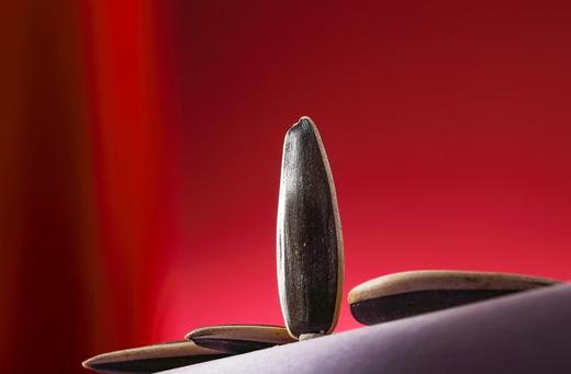 傻小胖原味葵花籽礼盒70g*10袋 商品图2