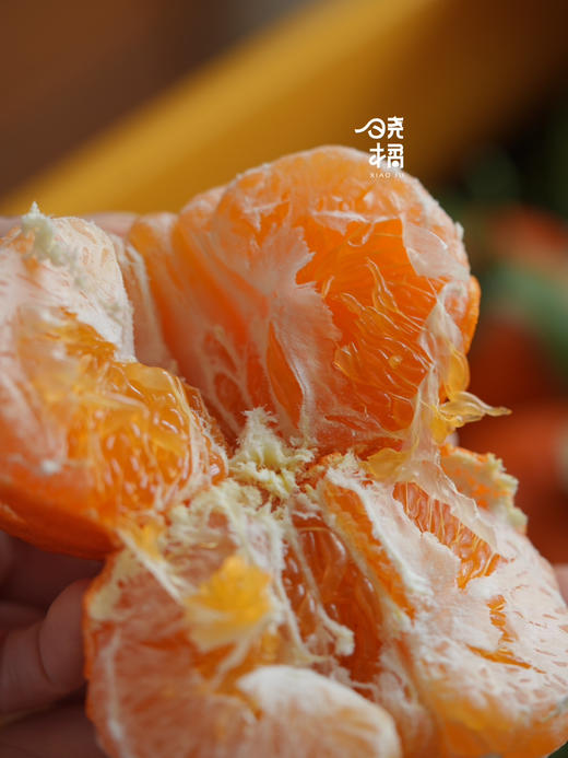 晓橘甘平橘柑 升级款的耙耙柑 柑橘中的爱马仕 商品图6