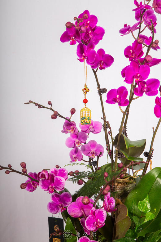 马驮鸿福 商品图3