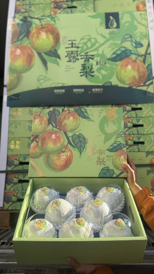 玉贵妃玉露香梨 汁多 酥脆 礼盒装 商品图4