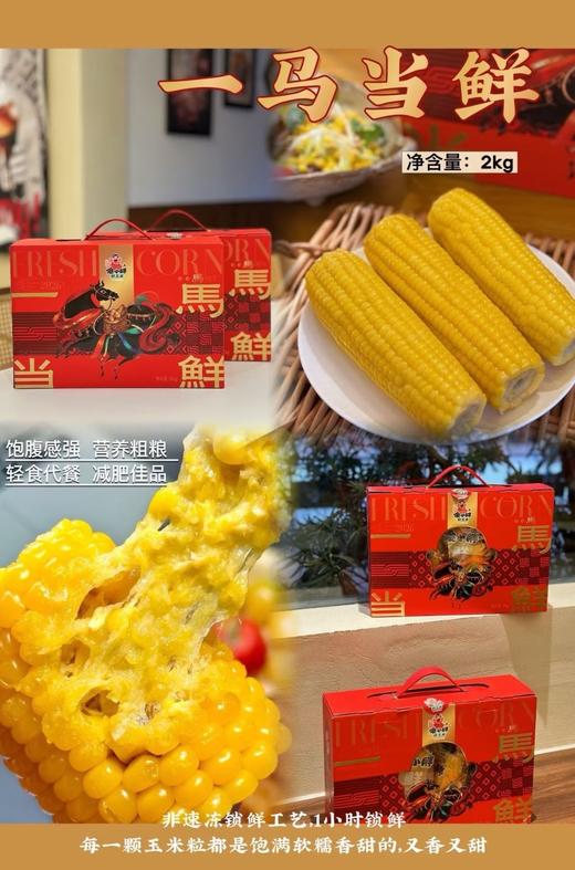 傻小胖新年礼盒2kg 商品图2