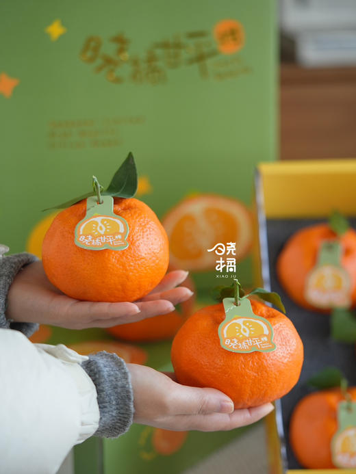 晓橘甘平橘柑 升级款的耙耙柑 柑橘中的爱马仕 商品图5