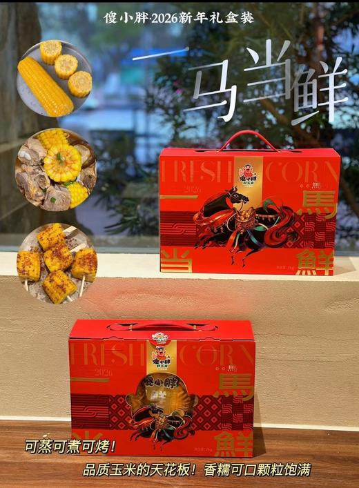 傻小胖新年礼盒2kg 商品图0