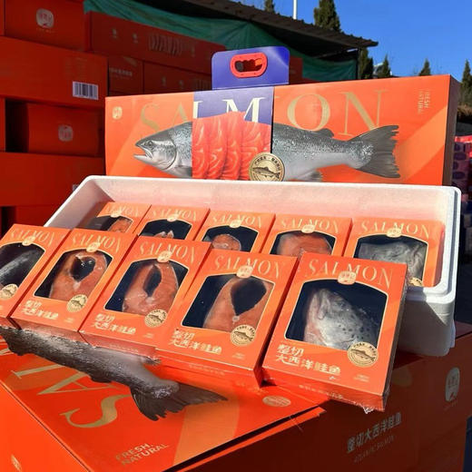 【渔礼记三文鱼礼盒】原条精切 肉质软嫩 商品图7