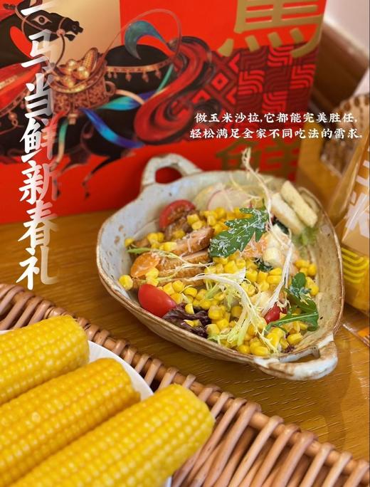 傻小胖新年礼盒2kg 商品图4