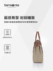 新秀丽CP-LITE系列女士时尚托特包TL3*009 商品缩略图2