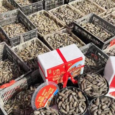  福清贝鲜生干原老蛏5斤/盒 商品图1