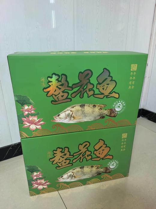 鳌花鱼一箱 商品图1
