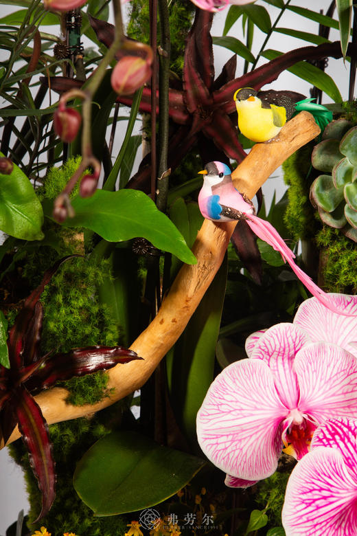 马到福临 商品图3