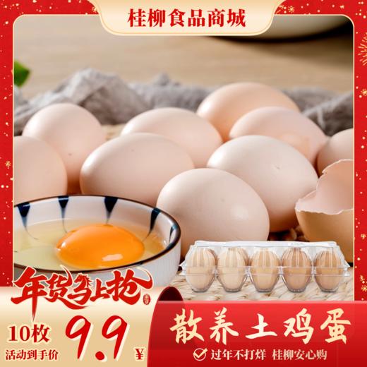 【年货节】散养土鸡蛋_10枚 商品图0