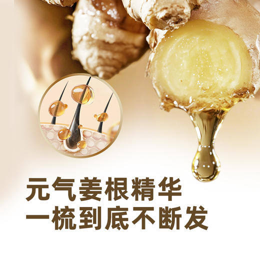 SukGarden生姜香柠檬精油洗发乳-800g 商品图2