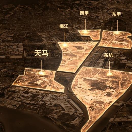 勐乐山干仓陈皮（金质陈皮-天马）五斤铁罐装2500g 商品图6