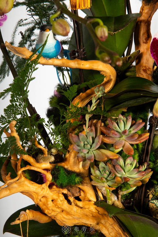 马年大吉 商品图3