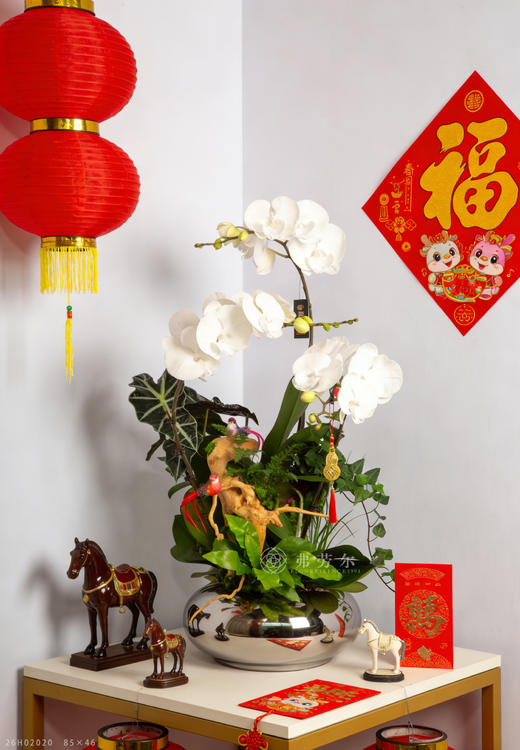马载安康 商品图1
