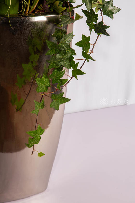 骏马迎春 商品图4