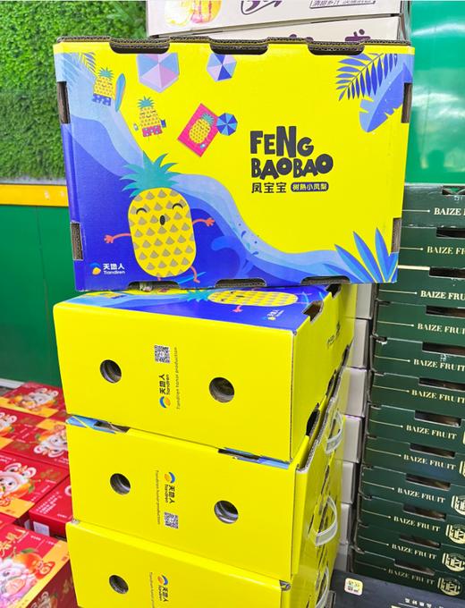 凤宝宝凤梨礼盒 商品图1