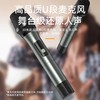 PHILIPS/飞利浦 SD100 舞台式战鼓大功率 户外演出专业级乐器K歌蓝牙音箱 直播音响 商品缩略图5