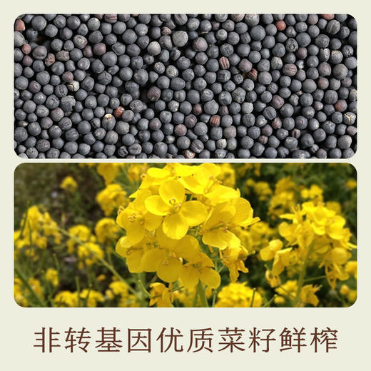 南食召 本真菜籽油 商品图4