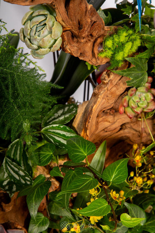 马驮财宝 商品图3