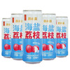 王老吉海盐荔枝果汁饮料310ml*12罐 商品缩略图2