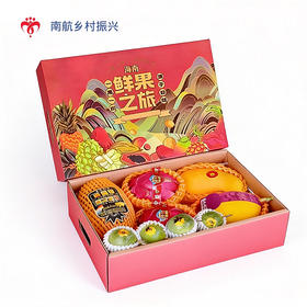 水果礼盒- 琼州味道一号 净重约4kg