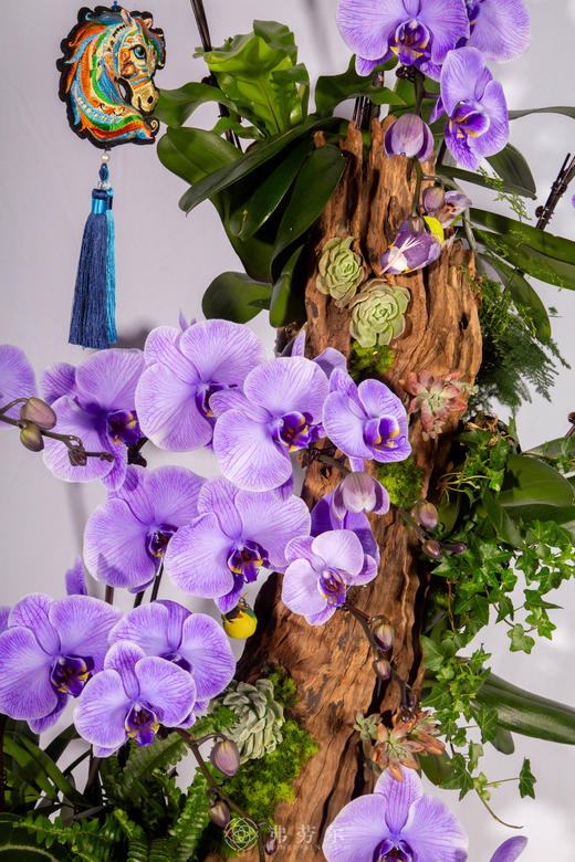 骏马迎春 商品图2