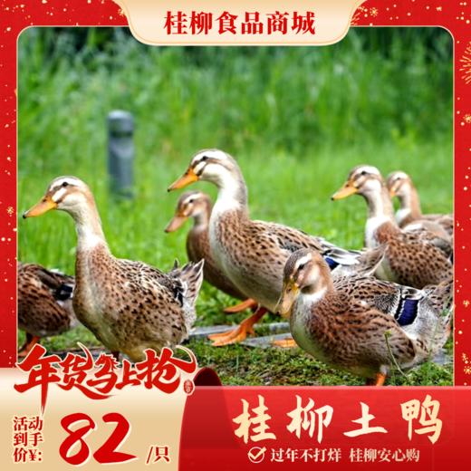 【年货节】桂柳土鸭 商品图0