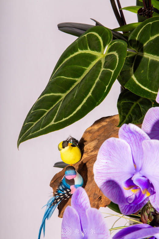 骏马迎春 商品图3