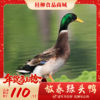 【年货节】放养绿头鸭 商品缩略图0