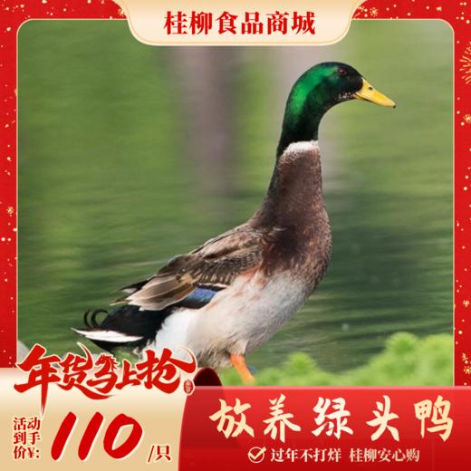 【年货节】放养绿头鸭 商品图0