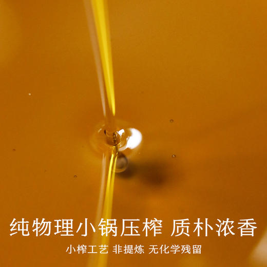 南食召 本真菜籽油 商品图1