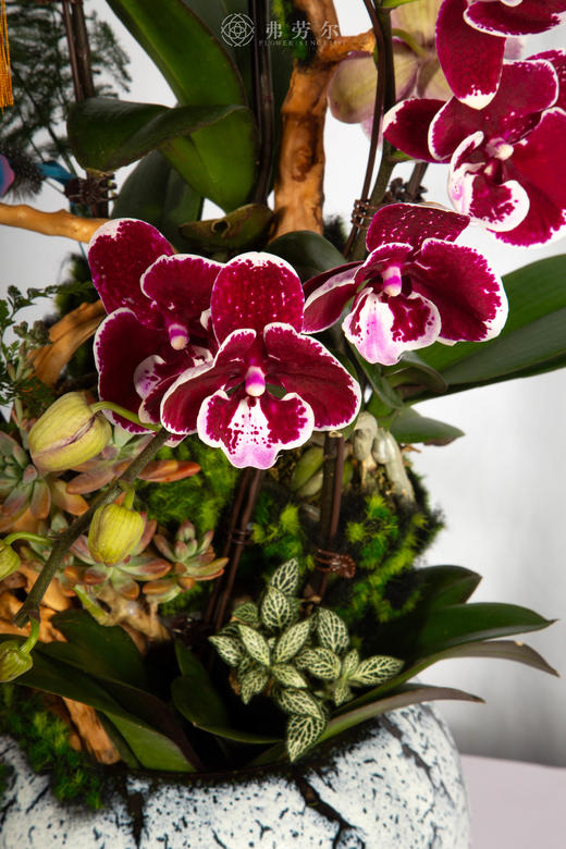 马年大吉 商品图2