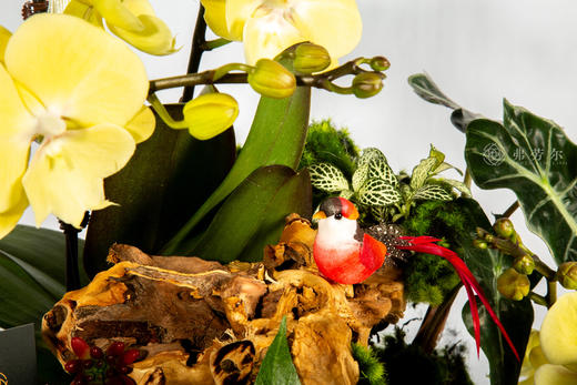 马踏祥云 商品图2