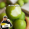 生态青枣（1斤装小规格） | 绿家自产*Eco-Green jujube | In-House Production 商品缩略图0