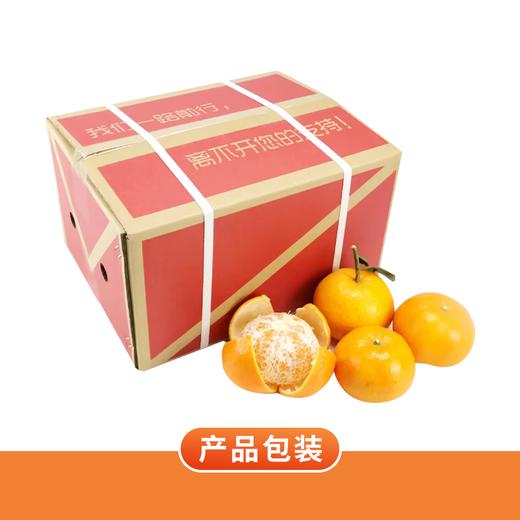 【广西武鸣沃柑】甜蜜多汁果肉细嫩 爽口化渣皮薄易剥（【广西武鸣沃柑】甜蜜多汁果肉细嫩 爽口化渣皮薄易剥） 商品图6