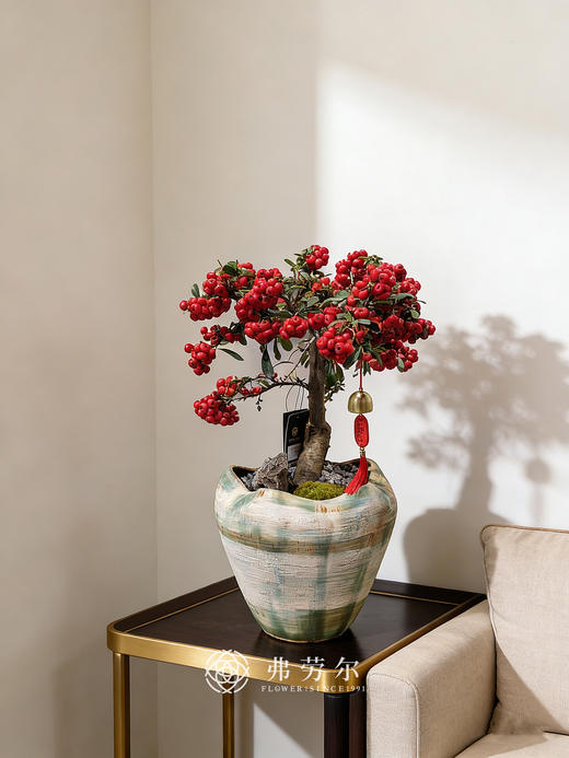 马不停蹄-满堂红 商品图0