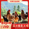 【年货节】高山放养土鸡_180天养殖龄 商品缩略图0