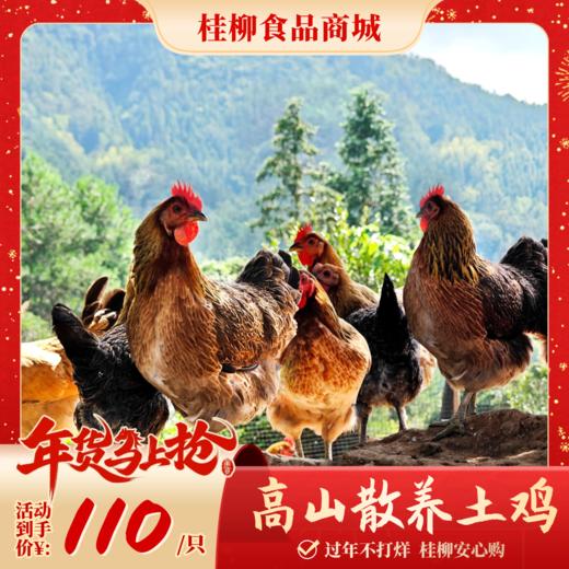 【年货节】高山放养土鸡_180天养殖龄 商品图0