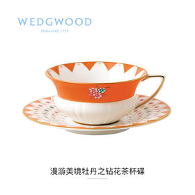 WEDGWOOD进口玮致活漫游美境杯碟组骨瓷咖啡杯欧式小奢华咖啡杯碟套装150ML