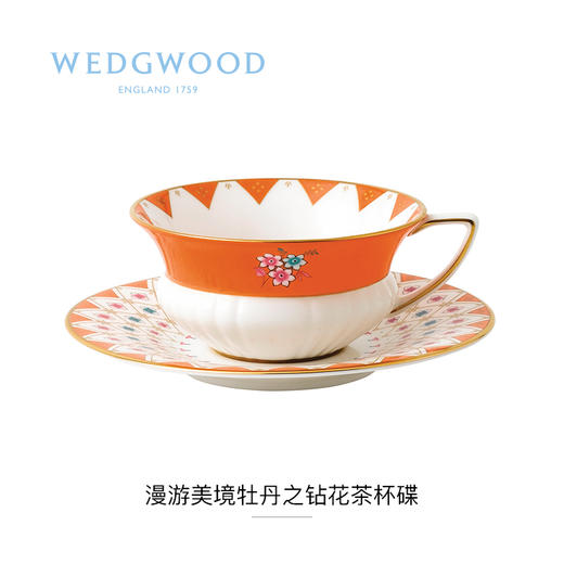 WEDGWOOD进口玮致活漫游美境杯碟组骨瓷咖啡杯欧式小奢华咖啡杯碟套装150ML 商品图0